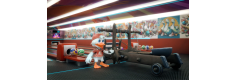 The Duck