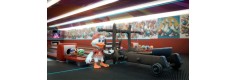 The Duck